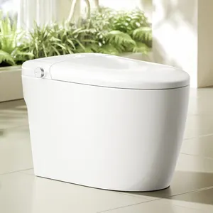 Modern elektronik otomatik seramik tuvalet kase Wc banyo WC tek parça akıllı akıllı tuvaletler