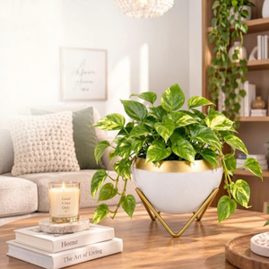 Jardinières de luxe modernes avec support doré, pot de fleurs rond en céramique blanche pour plantes vertes d'intérieur - Product Image 5