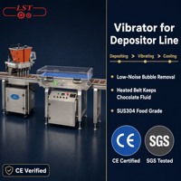 Machine à Chocolat Vibrante Innovante de 12,9 Pouces pour Confiseries, avec Entrée d'Alimentation CA 100-240V et Garantie d'un An