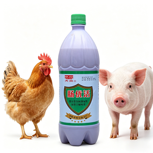 Probióticos Líquidos Multi para Avicultura, Ayuda Digestiva Natural, Suplemento Alimenticio, Antidiarreico, Promueve el Crecimiento - Product Image 1