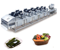 Nieuwe ontwerp luchtbel fruitwasmachine industrieel 200-1500kg/u automatische chilipepers komkommers luchtbel wasmachine