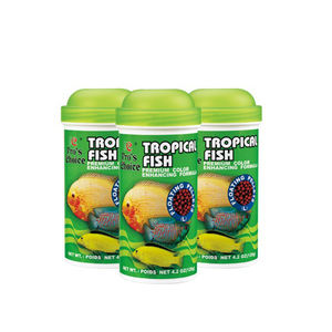 Fabricants taïwanais vendent des aliments en granulés pour poissons tropicaux, nourriture pour poissons d'ornement - Product Image 6