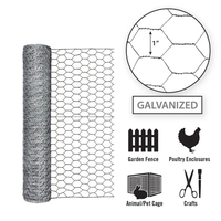Grillage hexagonal galvanisé pour lapins et poulets de 3/4 pouce, clôture en fil de fer tissé pour volailles de 1/2 pouce