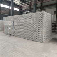 Four de séchage à circulation d'air chaud sur mesure, grande capacité, sécheur alimentaire industriel pour mangues, raisins, abricots