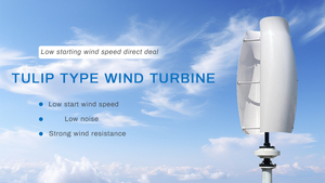 กังหันลมแนวตั้ง Tulip 600w พร้อมใบพัดแก้ว/หินบะซอลต์ แรงดันขาออก 12V-380V สำหรับระบบไฮบริดพลังงานแสงอาทิตย์ RX-TL 600w 1kw 2kw Tulip RX-TL - Product Image 5