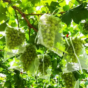 Breathable Garden Plant Protector Mesh Cover Netting Flower Fruit Grow Protection Bag For Grape Tomato Banana Peach Apple