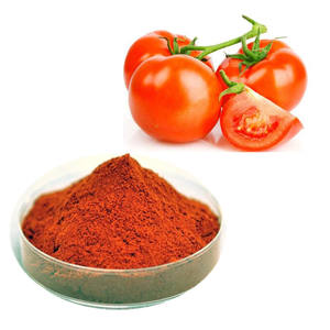 B.c.i Syp Tomatenpuree Poeder <span class=keywords><strong>Extract</strong></span> Sap Poeder Gedehydrateerd Tomatenpoeder - Product Image 1