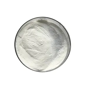 High Quality Acetyl-L-Carnitine 99% Acetyl L Carnitine Powder Acetyl L-Carnitine