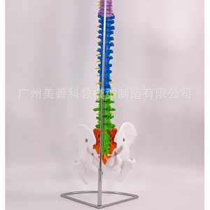 80CM1:1 - Product Image 3