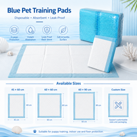 OEM Vente en gros de tapis d'apprentissage jetables écologiques ultra absorbants et anti-fuites pour chiens et chats
