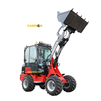 Minicargadora CASEREM 4WD para Uso Doméstico, 18.2kW, Motor Diésel Eaton, Hidráulica Euro5, 1 Año de Garantía, Cucharón de Giro Corto