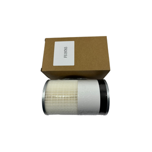 燃油滤清器FS19915 A0000903651 - Product Image 5