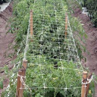 Treillis de jardin robuste en polypropylène, filet de soutien pour plantes, outils de culture, treillis et filet pour pois, 2Mx100M