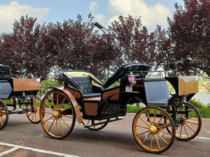 Carruaje Eléctrico Turístico para Puntos Turísticos, Carruaje Retro con Estilo de Carruaje de Caballos para Recorridos Urbanos y Transporte de Turistas en Zoológicos - Product Image 3
