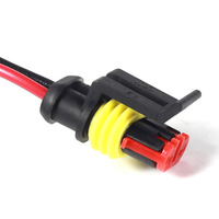 Pabrik profesional UL bersertifikat Molex TE AMP kawat tahan air Harness 2 Pin kabel perakitan
