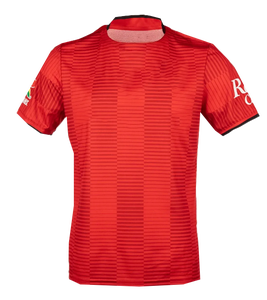 Conjunto de Camiseta y Pantalones Cortos Deportivos de Fútbol para Clubes 2025 2026 al por Mayor, Conjuntos de Fútbol para Hombre de Secado Rápido, Impresión de Nombres y Números - Product Image 2