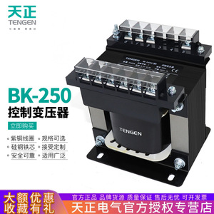 Tengen Control <b>Transformer</b> 250VA 380V to 110V 36V 24V Single Phase All Copper - Product Image 5