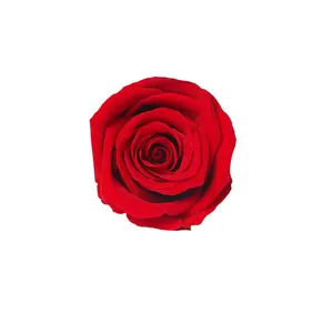 ดอกกุหลาบเอกวาดอร์เกรด A 3-4ซม.,ดอกกุหลาบที่เก็บรักษาไว้หัวดอกกุหลาบ Diy ตลอดไปสำหรับตกแต่งให้เป็นนิรันดร์