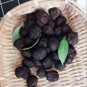 Detan nueva temporada salvaje fresca de trufa negra 2019-2020 - Product Image 5