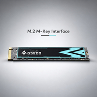 قرص تخزين داخلي من سلسلة كاناجا G3200 نوع M.2 NVMe SSD بسرعة قراءة متسلسلة 3000 ميجابايت/ثانية، PCIe 3.0 للحواسيب المحمولة عالية الأداء