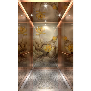 FUJI <strong>Elevator</strong> Factory Low Price Professional <strong>Automatic</strong> Passenger Indoor Passenger <strong>Elevator</strong> - Product Image 1