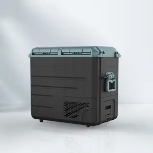 Réfrigérateur de compresseur d'air de réfrigération de voiture de WAYCOOL WE65 58L 12V 24V DC avec la protection de batterie faible et la caractéristique à faible bruit