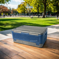 Superbe glacière portable en mousse EPP de qualité supérieure, isolée thermiquement, à motif rayé, pour le camping en extérieur et le stockage alimentaire