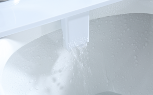 एसोकोरियो पैरा बाड मैनुअल बाइड लक्जरी शौचालय बिडेट हॉट सेलिंग नोजल स्व-सफाई बाइक शौचालय सीट - Product Image 4