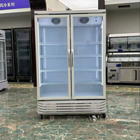 Nuevo Refrigerador Exhibidor LG-980 F con Doble Puerta de Vidrio, Eficiencia Energética de 5 Estrellas, para Bebidas, Ideal para Supermercados y Hoteles
