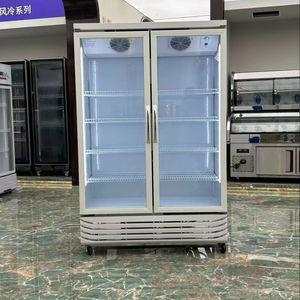 Nuevo Enfriador de Bebidas <span class=keywords><strong>LG</strong></span>-980 F con Doble Puerta de Vidrio, <span class=keywords><strong>Refrigerador</strong></span> Exhibidor de Bebidas para Supermercados y Hoteles - Product Image 2