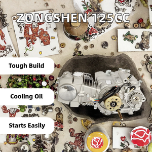 Zongshen W125-G 125ccm Ölgekühlter Neuer 4-Takt 1-Zylinder-Motor mit CDI-Zündung und Elektro-/Kickstarter für Alle Motorräder - Product Image 2