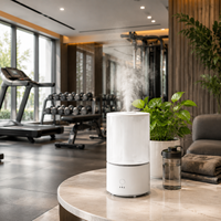 Humidificateur ultrasonique à brume fraîche 3L, diffuseur d'arômes avec veilleuse LED, humidificateur d'air à double mode de brume pour chambre à coucher et maison