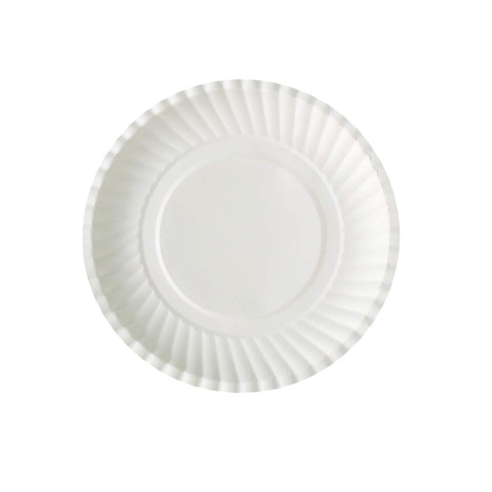 Wholesale Cheap Custom Printed Biodegradable Disposable Paper Plates & Bowls for Restaurants and Parties