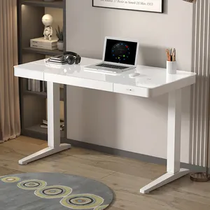 Latest Modern Style Smart Electronic Ergonomic Adjustable Electric Standing Desk With Drawer USB And Type-C Ports Home Office