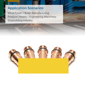 220352 Đồng <span class=keywords><strong>Plasma</strong></span> cắt điện cực 200A hàn ngọn đuốc phụ tùng cho HPR 130 260 - Product Image 3