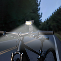 Lampe de barbecue LED COB rechargeable 300 lumens blanc chaud IP65 étanche rotation 360° chargement Type-C pour camping tente vélo