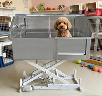 Station de lavage pour animaux de compagnie en acier inoxydable 304 écologique pour chiens et chats, baignoire pliable multifonction robuste et portable