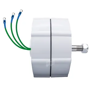 600W 12/24V מגנט קבוע גנרטור עבור אופקי רוח טורבינת גנרטור טחנת רוח אופני כושר טורבינת מנוע חשמלי