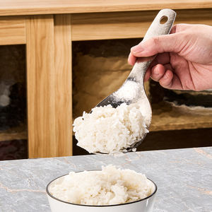 Cuchara de Arroz Moderna Hongjunda de Titanio Puro Plateado con Mango Corto, Antiadherente, Resistente al Calor y Apta para Lavavajillas - Product Image 3