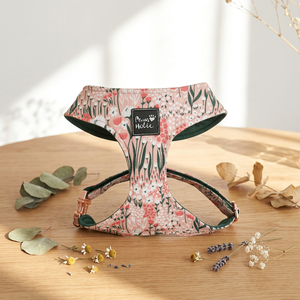 Cotton Comfortable Fashion <b>Dog</b> Harness Cat Harness Cute Fashion Adjustable Cute Buckle Closure for Small Size <b>Dogs</b> and Cats OEM - Product Image 1