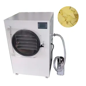 Small Scale Lyophilizer Mini Home Freeze Dryer for Food Meat Herb Tea Leaf Lyophilization Machine