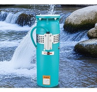 Aamazing QSP Pompe d'étang submersible extérieure à grand débit de haute qualité et pompe de fontaine de danse d'eau de fontaine