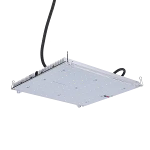 Sera bitkisi tarım 100 w 100 watt SMD Epistar LED lamba büyütücü aydınlatma 