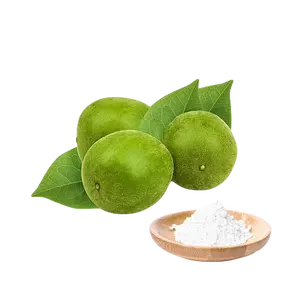 Natural Monk Fruit Sweetener Mogrosides V25% 50% Powder Organic Monk Fruit Extract