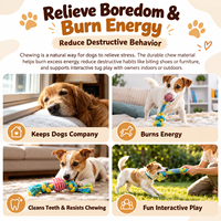 Jouets pour chiens en corde tressée résistante, jouets à mâcher durables avec TPR pour un jeu interactif quotidien