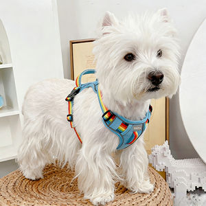 Arnés para Perro Dafeel Fashion con Rayas de Arcoíris y Tiras Reflectantes de Alta Visibilidad, Arnés Transpirable para Mascotas, Todas las Tallas - Product Image 6