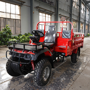 Triciclo a Benzina di Alta Qualità per Fuoristrada, Veicolo da Carico a Tre <span class=keywords><strong>Ruote</strong></span>, Vendita all'Ingrosso dalla Fabbrica - Product Image 3