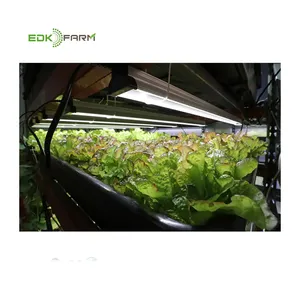 2023 ETL fodder microgreens growing light led lettuce led grow light bar kit hydroponic spectrum