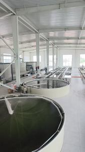 PP efficace recirculant les bases d'équipement de pisciculture de système d'aquaculture pour la pisciculture d'intérieur - Product Image 6