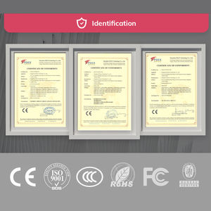 DIGICAST 16Ch Agiles festes HF-<span class=keywords><strong>Modulator</strong></span> DMB-6000 mit 24 Kanälen für digitales CATV-Kopfs telle system - Product Image 6